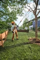Podkrzesywarka akumulatorowa STIHL HTA 30 – piła na wysięgniku 280 cm