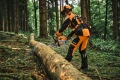 STIHL MS 300 C-M – pilarka spalinowa 3,3 kW / 4,5 KM