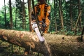 STIHL MS 300 C-M – pilarka spalinowa 3,3 kW / 4,5 KM